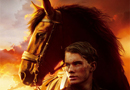 war horse